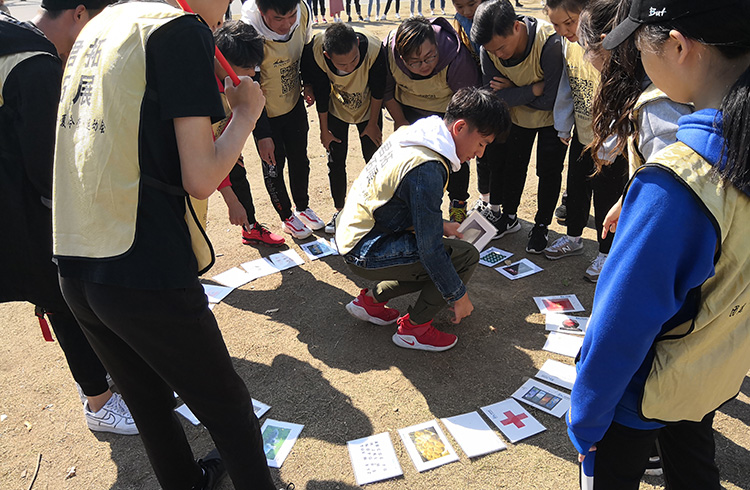 湖北藝術(shù)職業(yè)學院心理委員蔡甸國防園素質(zhì)拓展活動